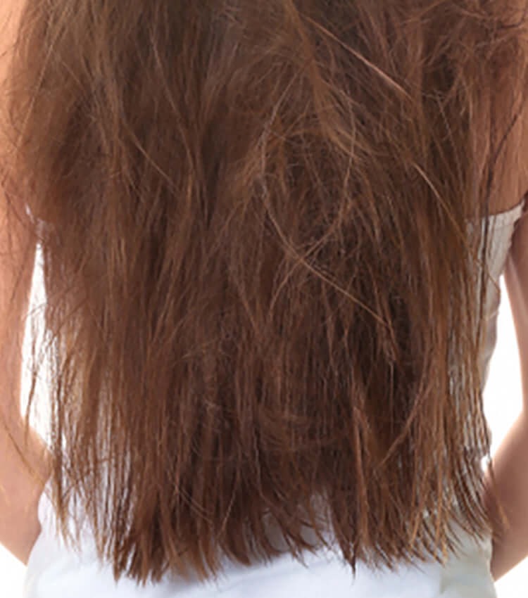 Avrelle Ultimate Hydration Bundle